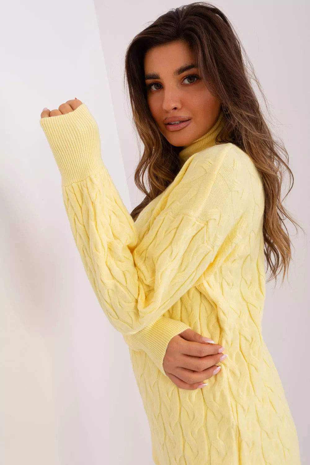 Meistelis modelis 187538 AT