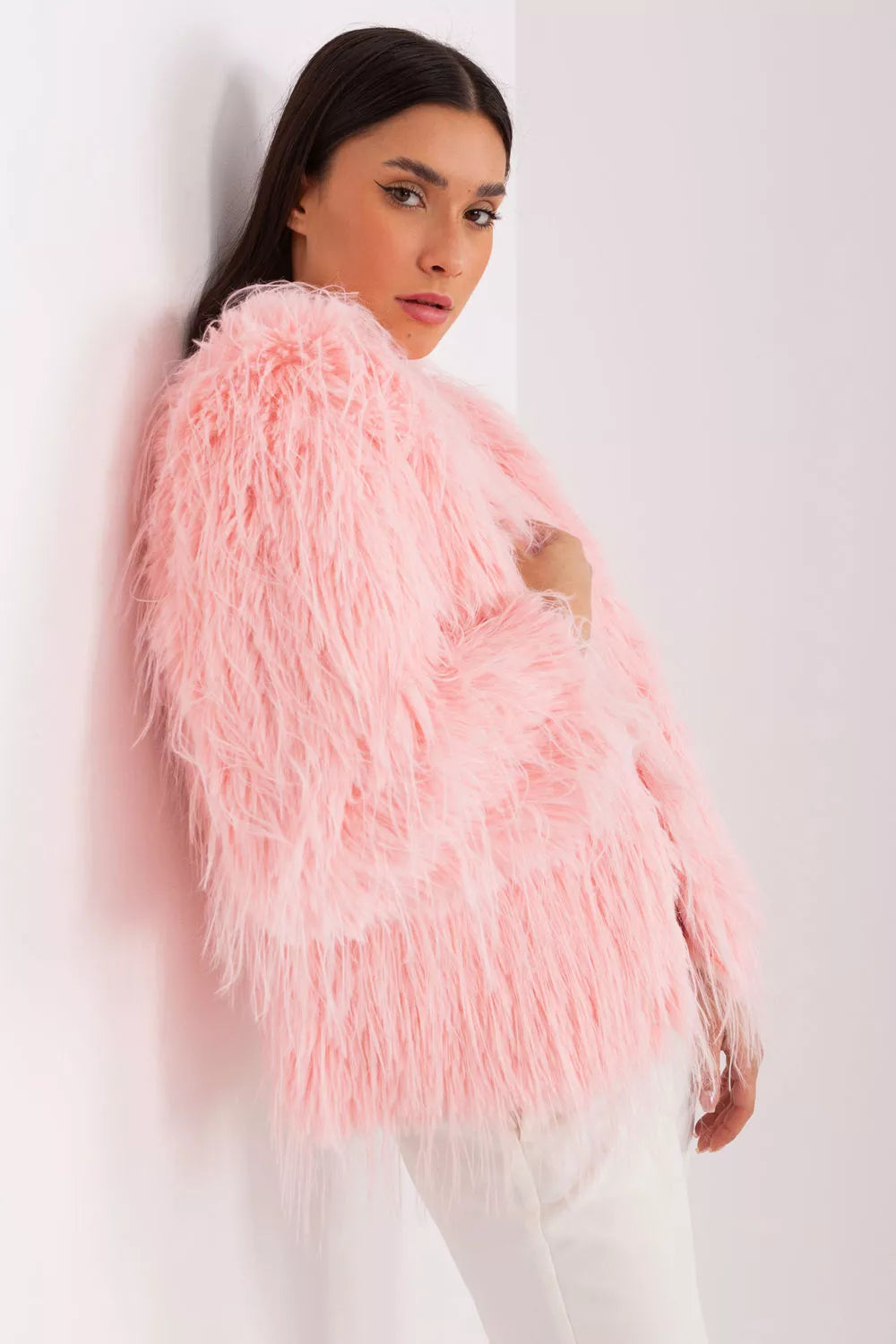 Striukės modelis 188841 AT