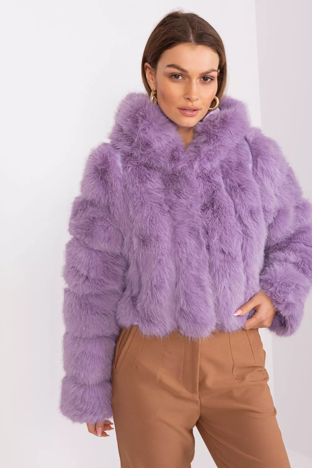 Striukės modelis 189522 AT