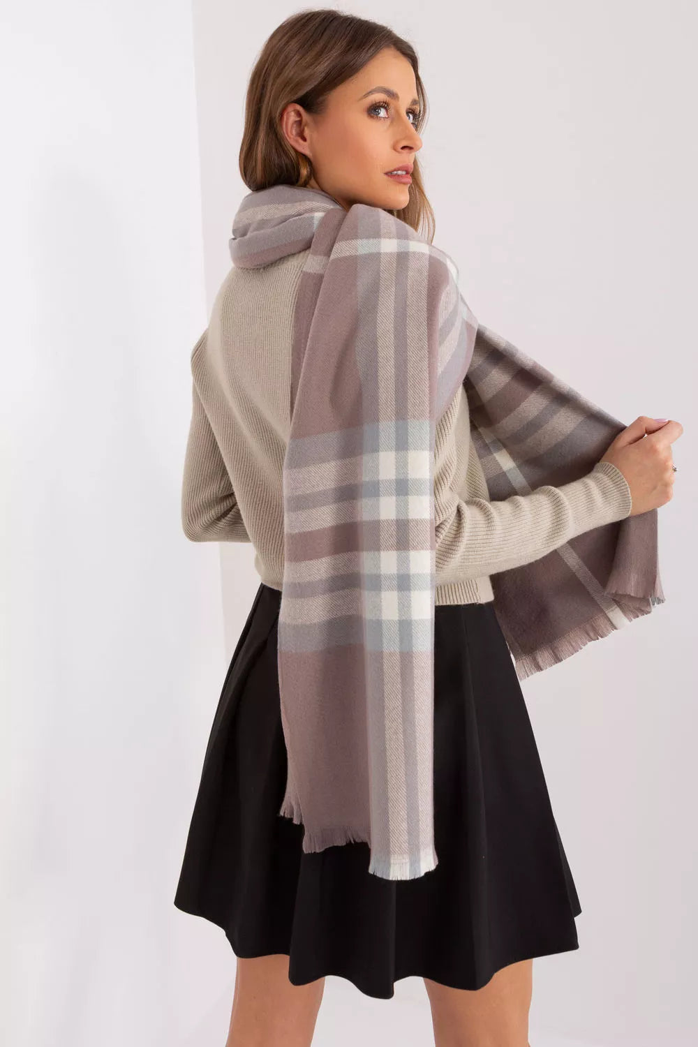 Šalis modelis 190568 AT