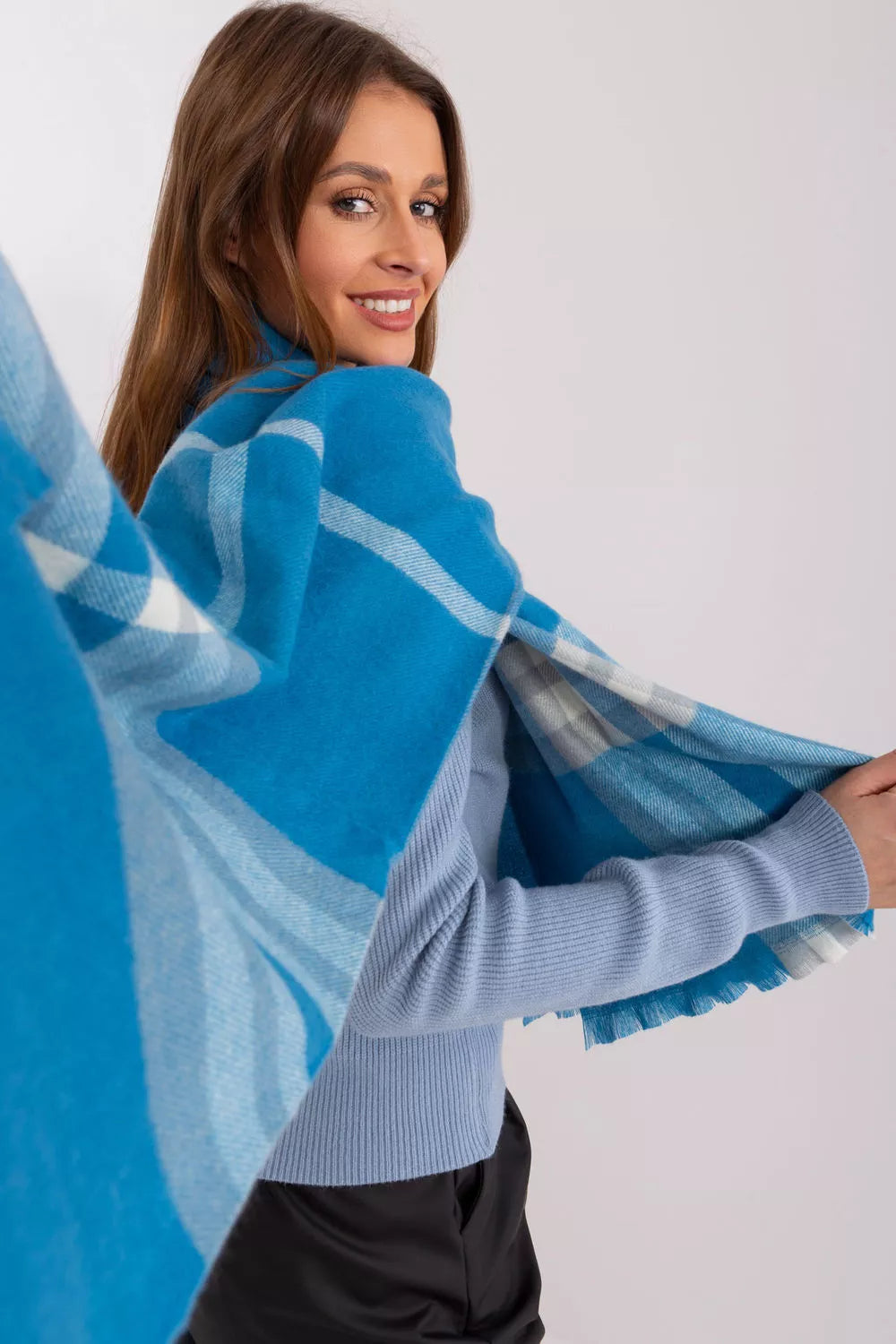 Šalis, modelis 190569 AT