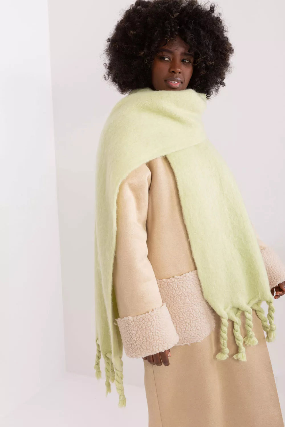 Šalis, modelis 190589 AT