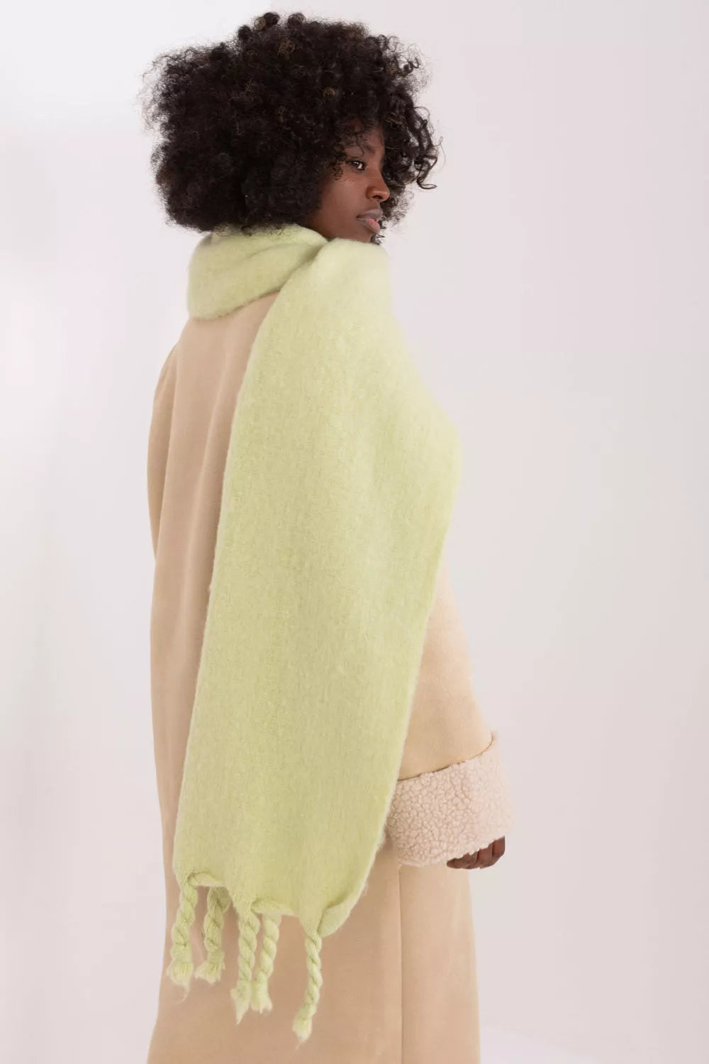 Šalis, modelis 190589 AT