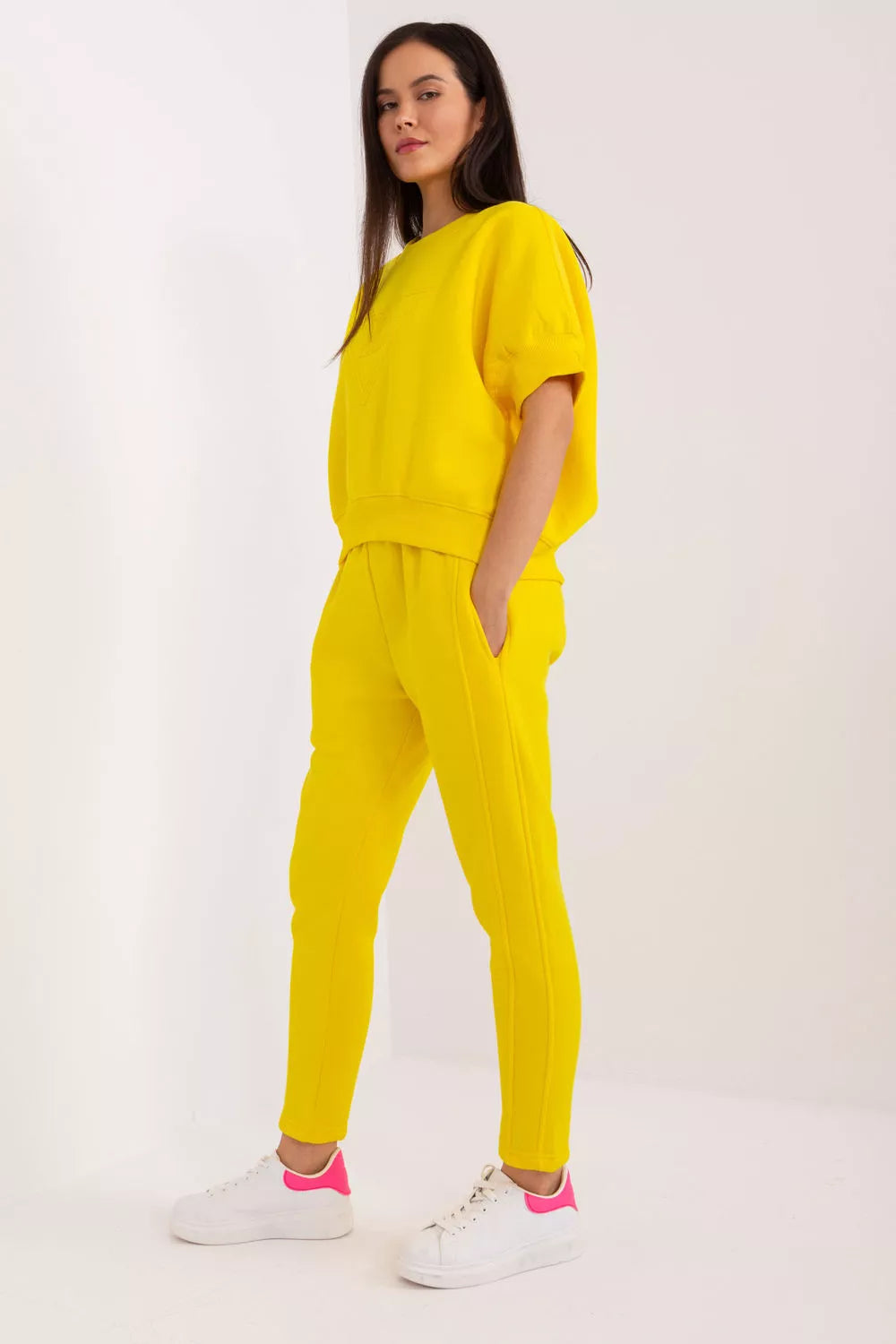 Modelio rinkinys 202085 gamyklos kaina