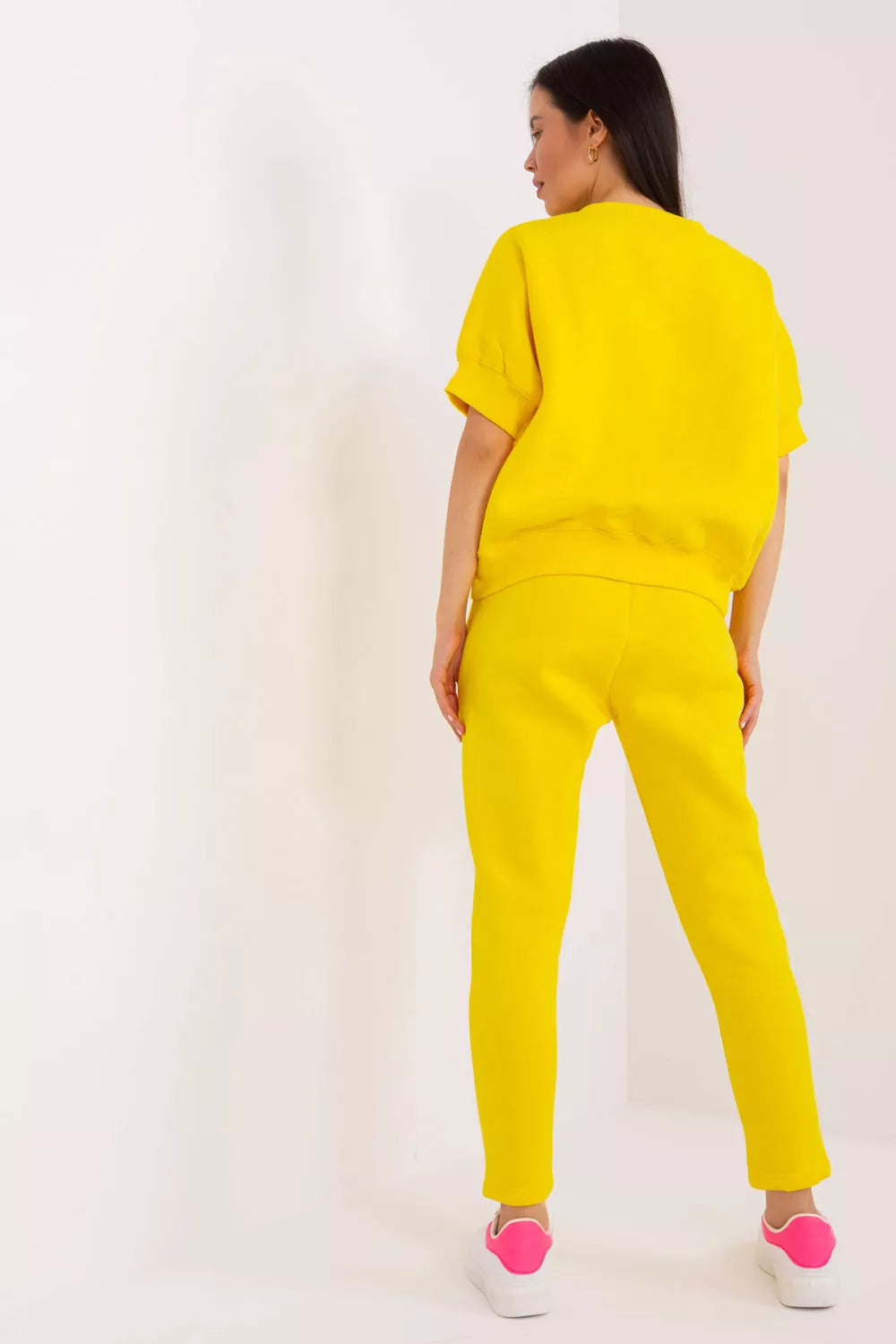 Modelio rinkinys 202085 gamyklos kaina