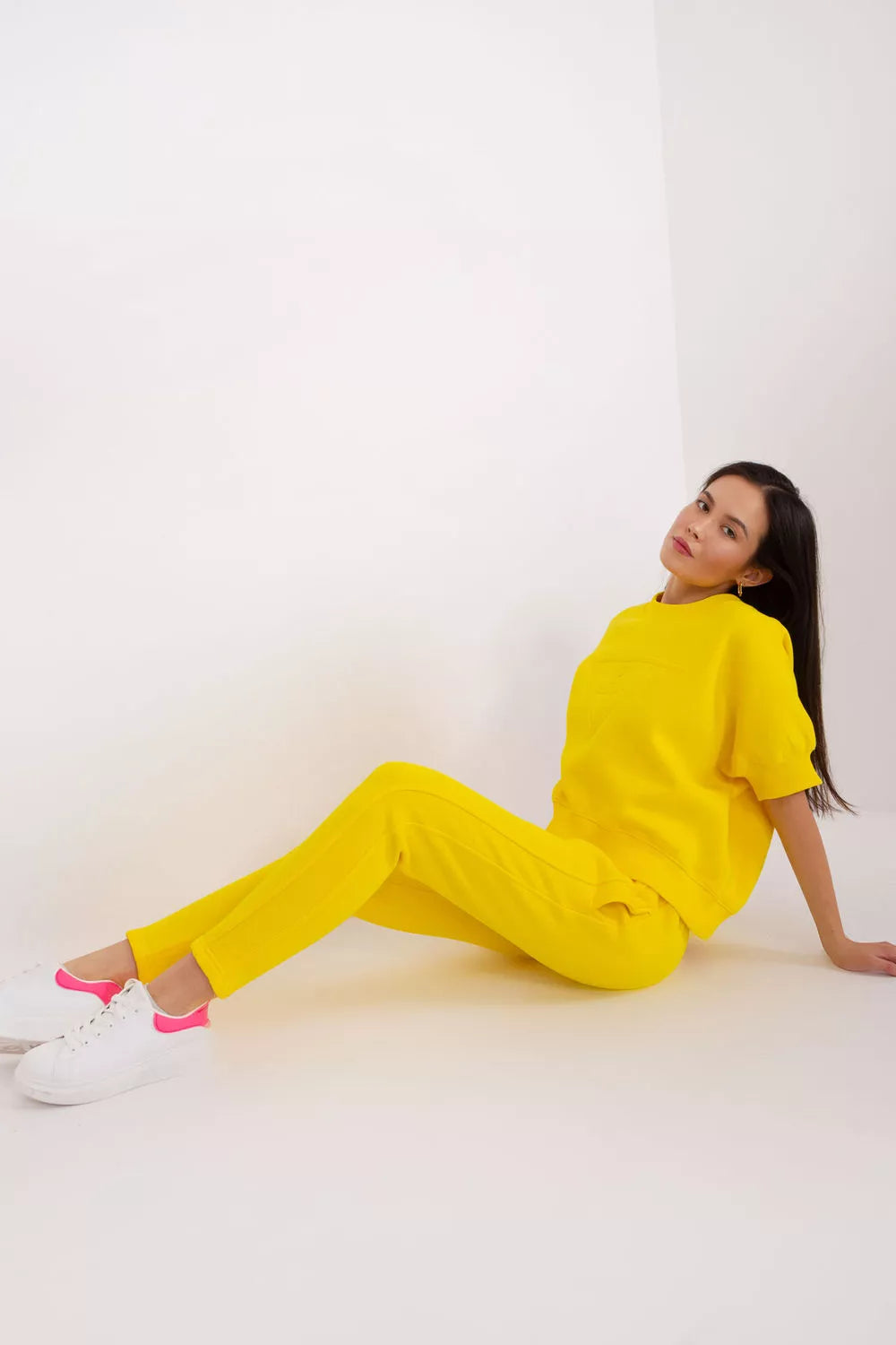 Modelio rinkinys 202085 gamyklos kaina