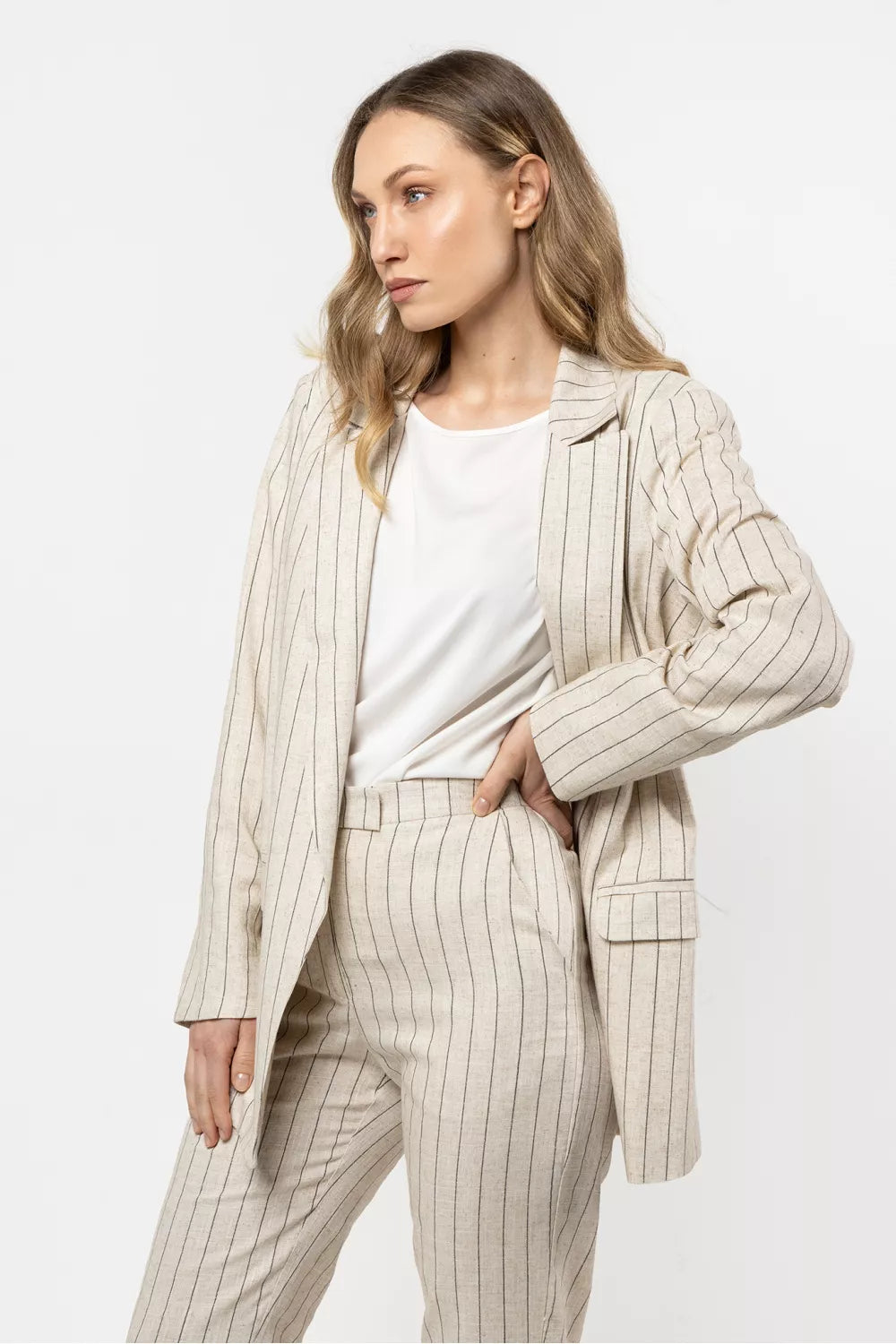 Striukės modelis 212176 awama