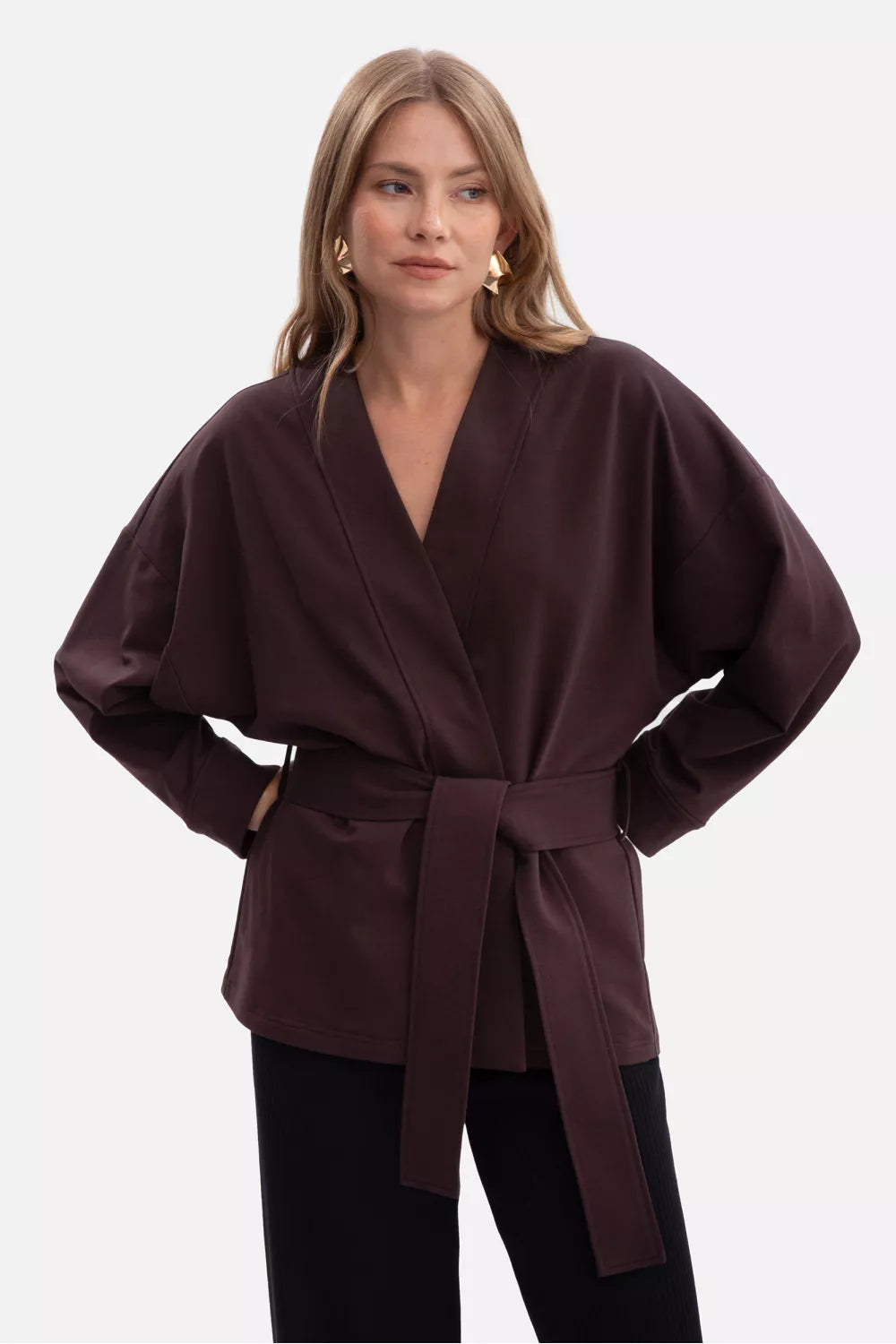 Džemperis modelis 218676 BeWear