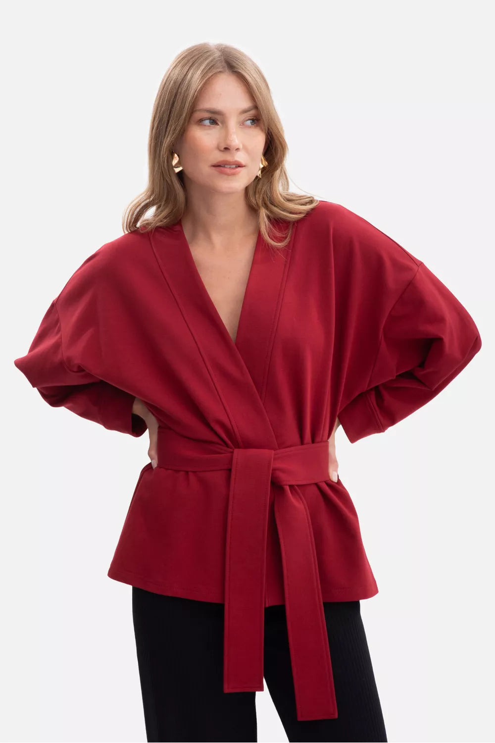Džemperis modelis 218678 BeWear