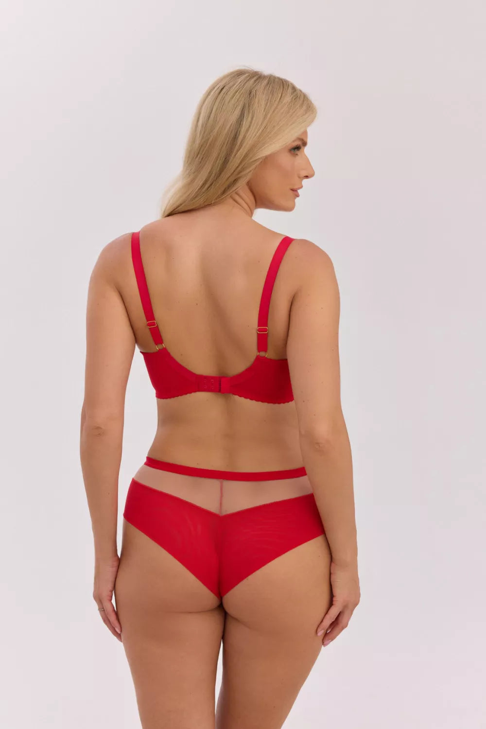 Minkštas modelis 222893 Gaia