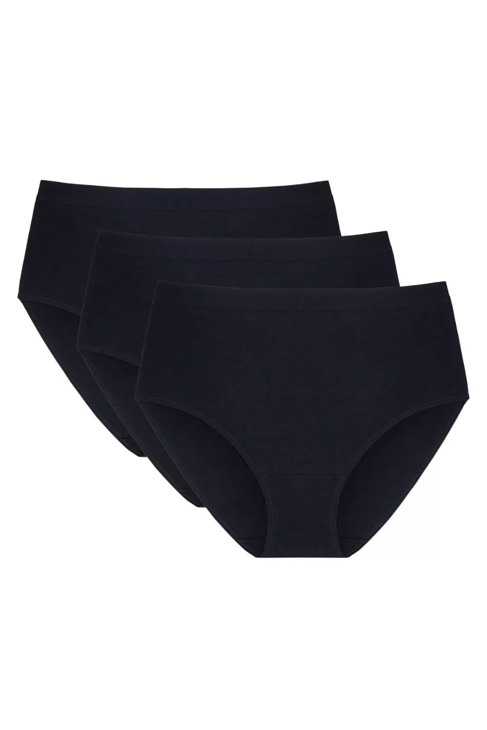 Modelio rinkinys 225185 Gorteks