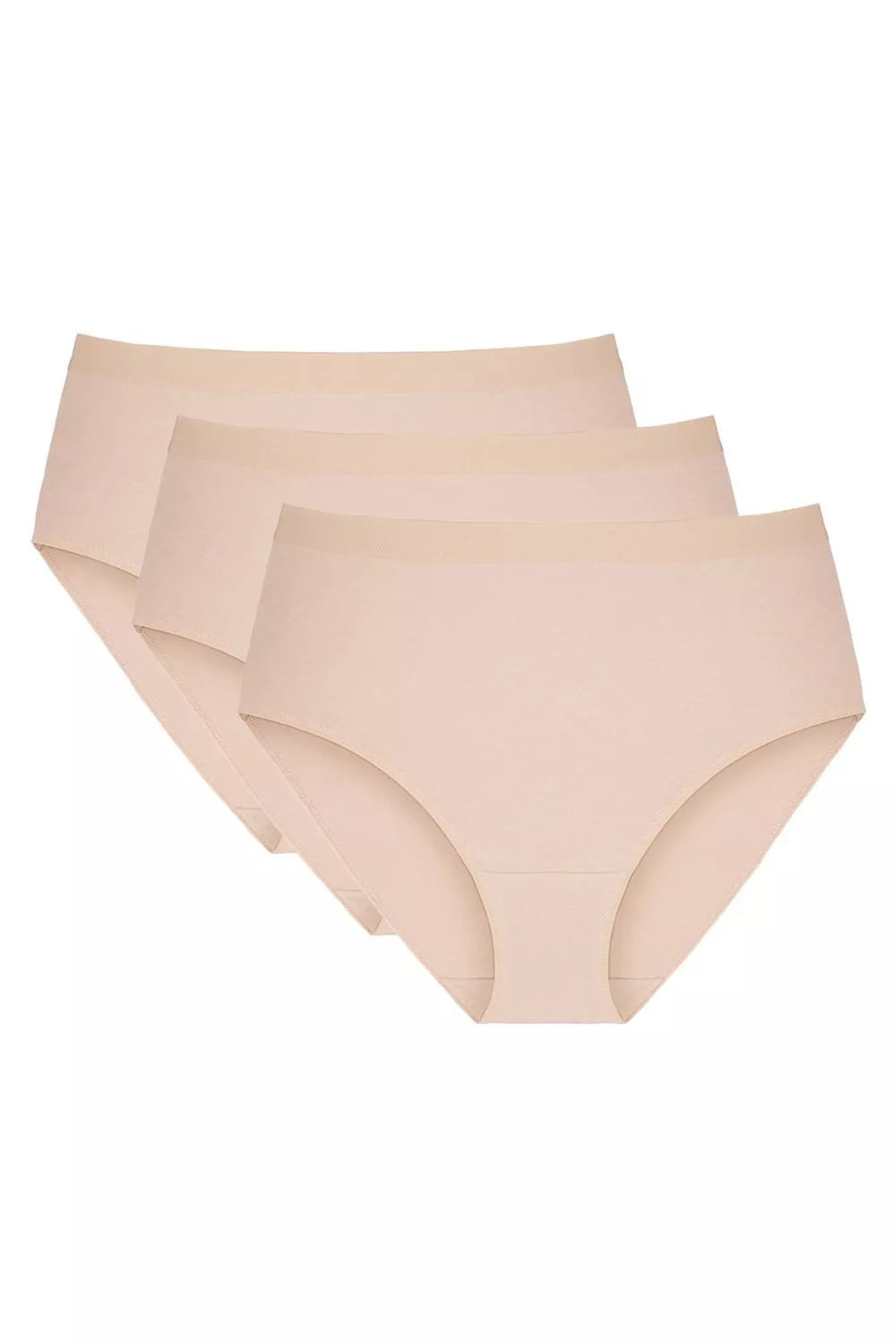 Modelio rinkinys 225186 Gorteks