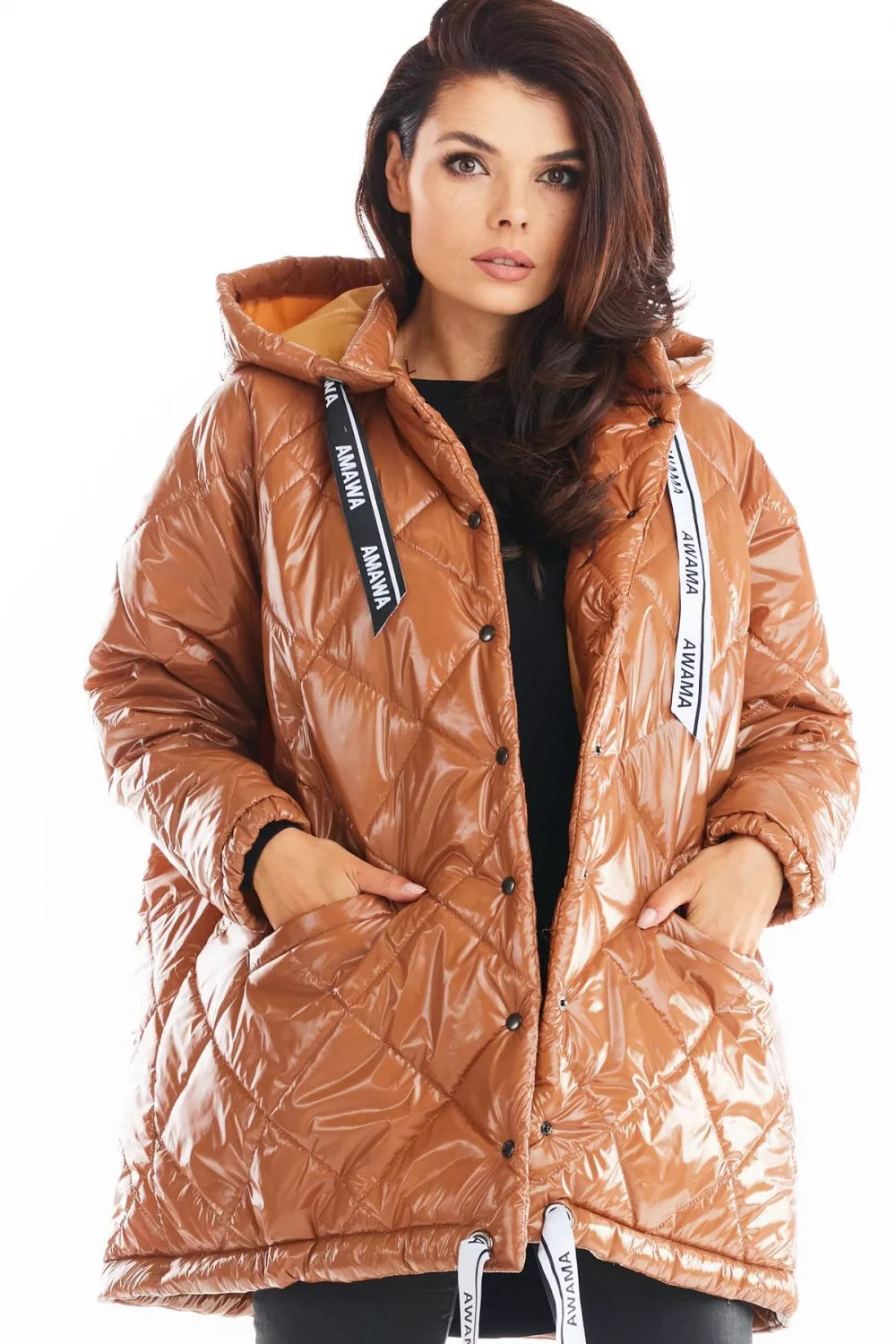 Striukės modelis 149757 awama