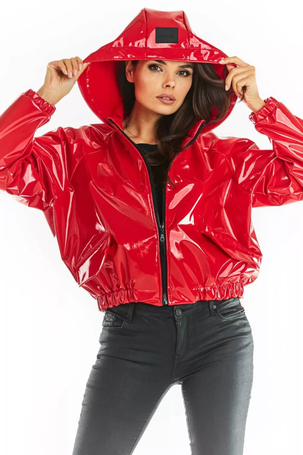 Striukės modelis 149763 awama