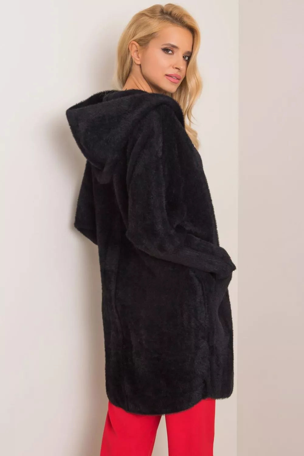 Palto modelis 171832 MBM